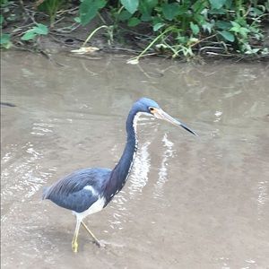 Meet your Posher, Moreen