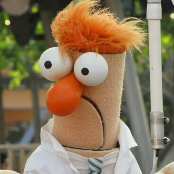 Meet your Posher, Matthew - Picture 1 of 1