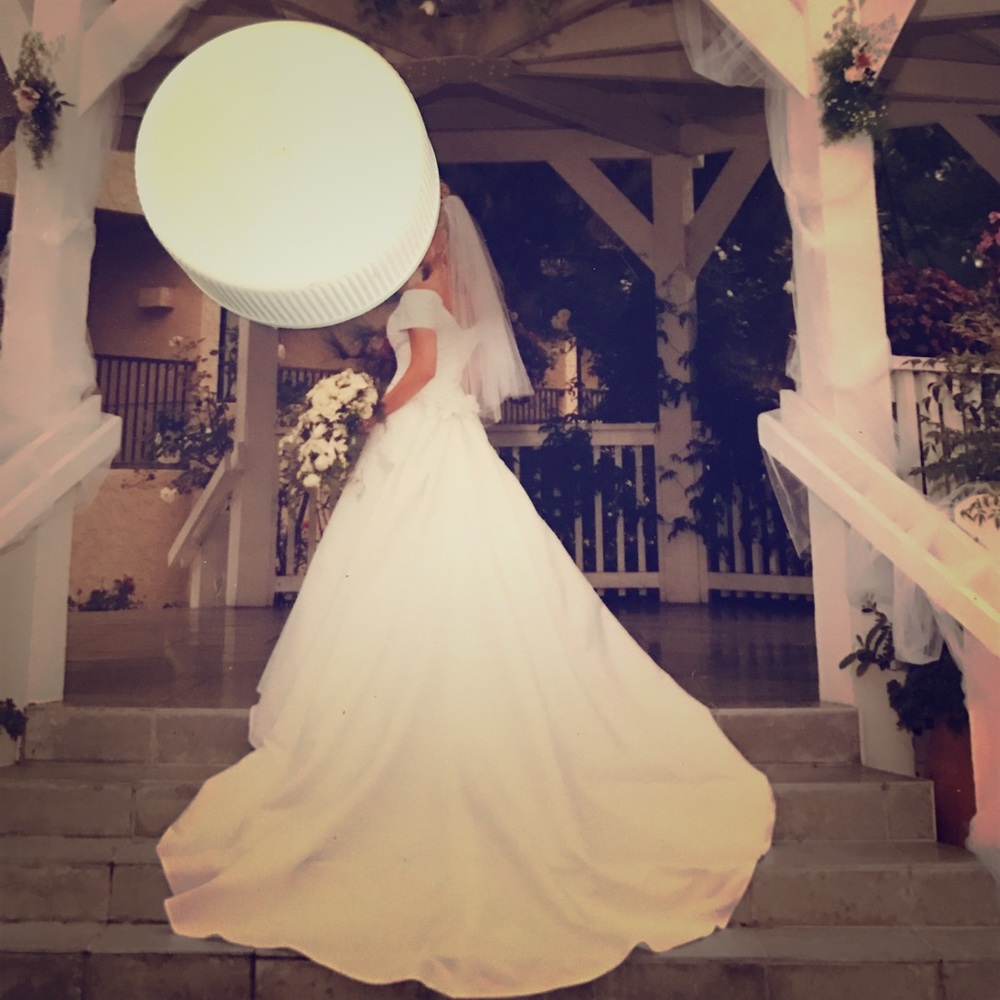 MonAmie wedding dress & veil.