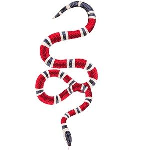 Meet your Posher, Ray