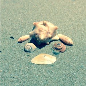 Meet your Posher, Emma