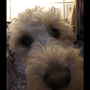 Meet your Posher, Bethany