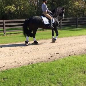 Meet your Posher, Dana