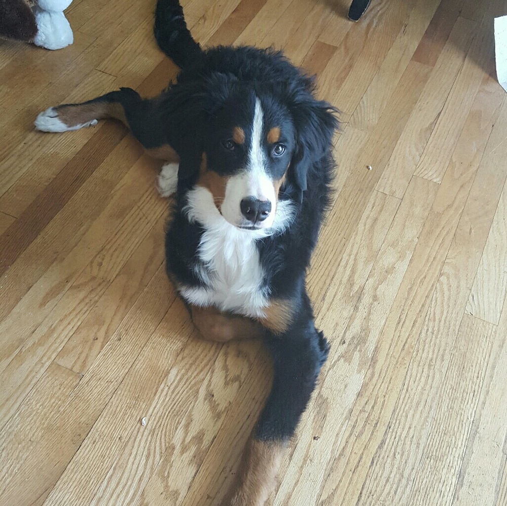 Meet your Posher, Tricia