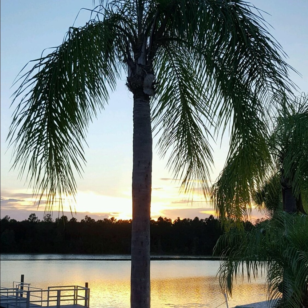 Meet your Posher, Caleigh