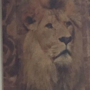 GCGHC Inc. Blowout! Everything must go!!