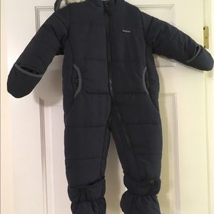 Oshkosh snow bunting