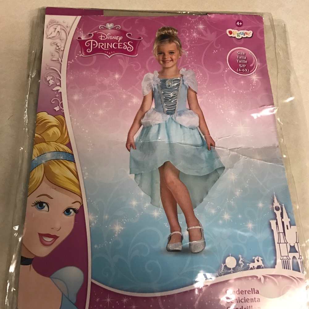 Cinderella costume