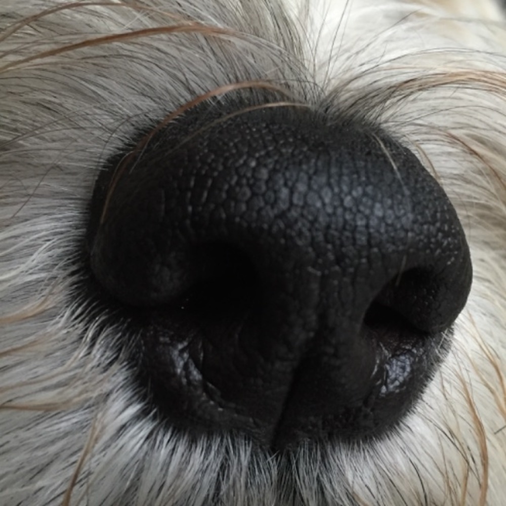 Meet your Posher, Gabriele