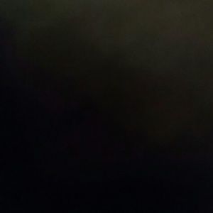 Meet your Posher, Rhonda