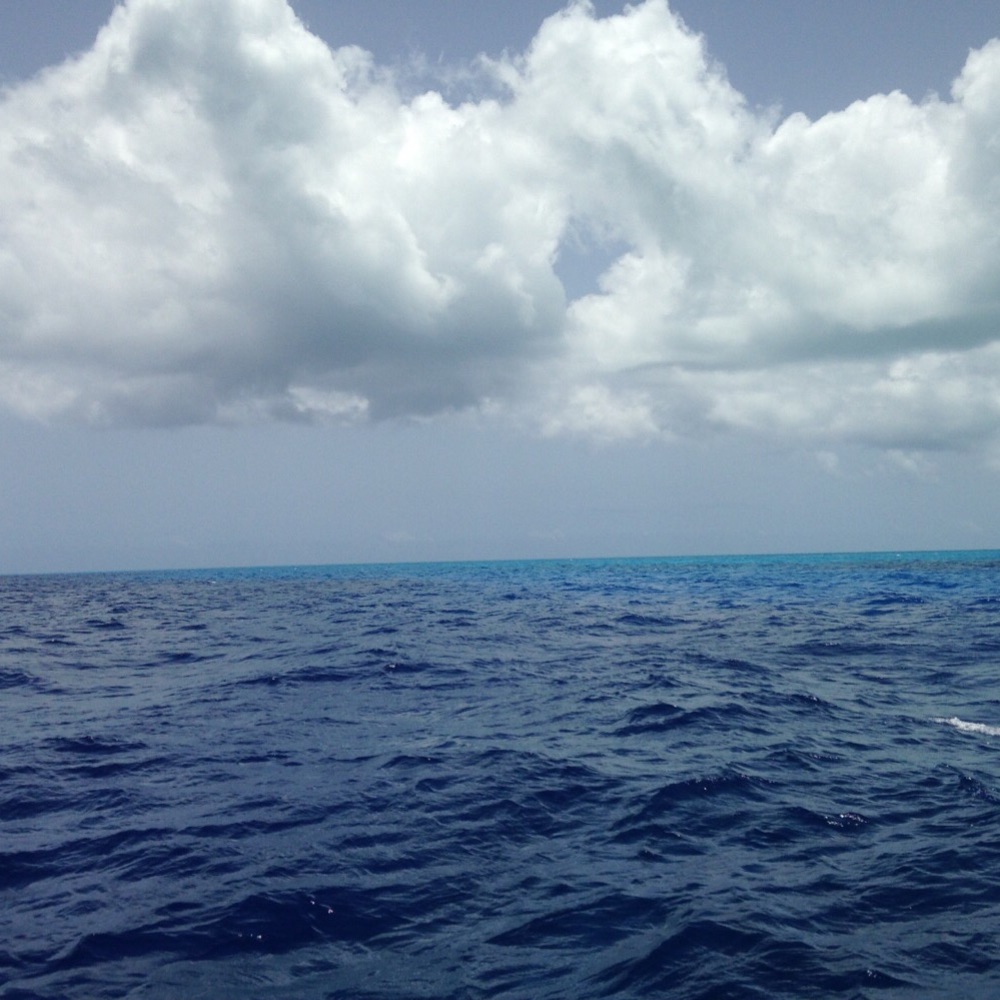 Meet your Posher, Kara