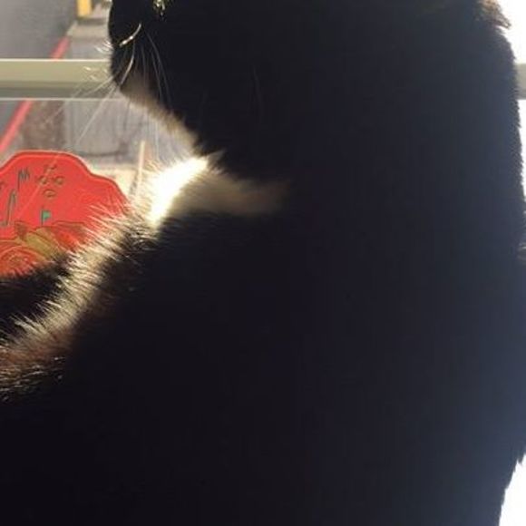 Meet your Posher, Ashlee - Picture 1 of 1