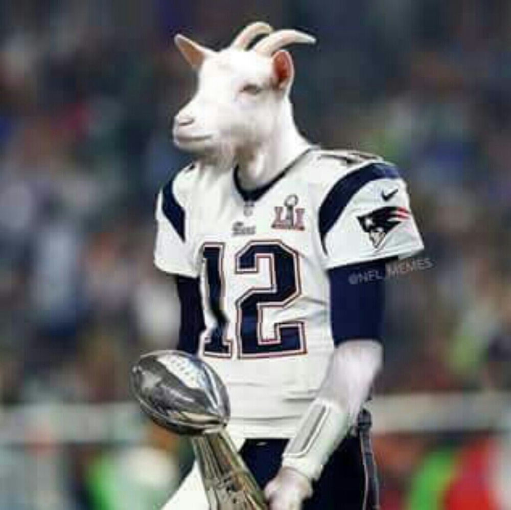 Meet your Posher, George