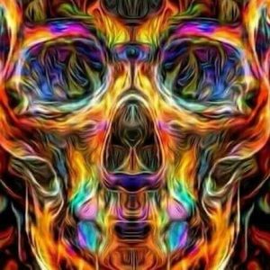 Meet your Posher, Dennis