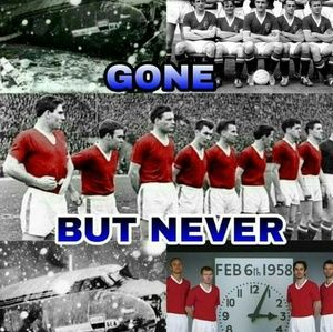 Meet your Posher, Shane