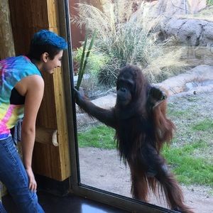 Meet your Posher, Lisa