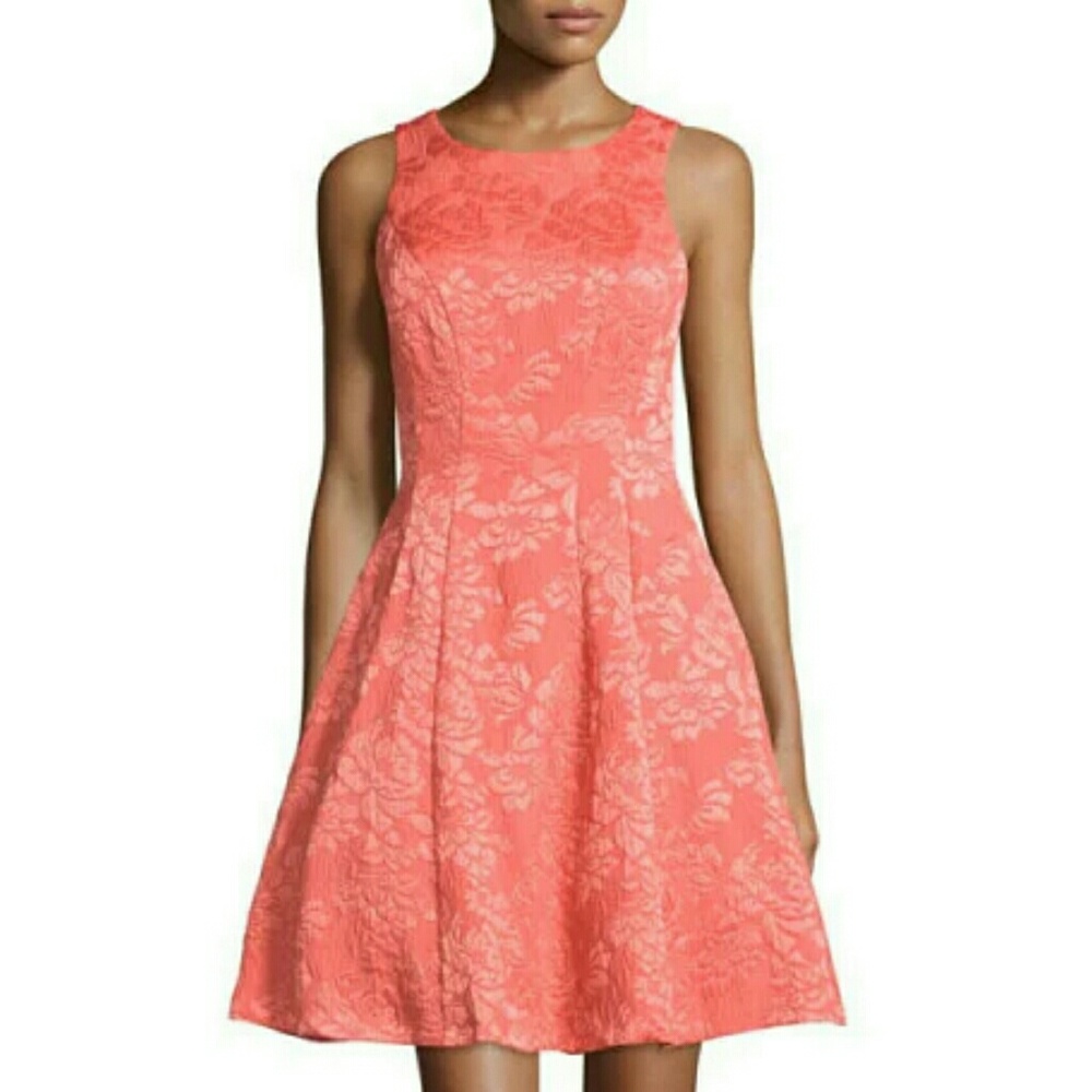 NWT MAGGY LONDON coral jaquard dress - Picture 1 of 6