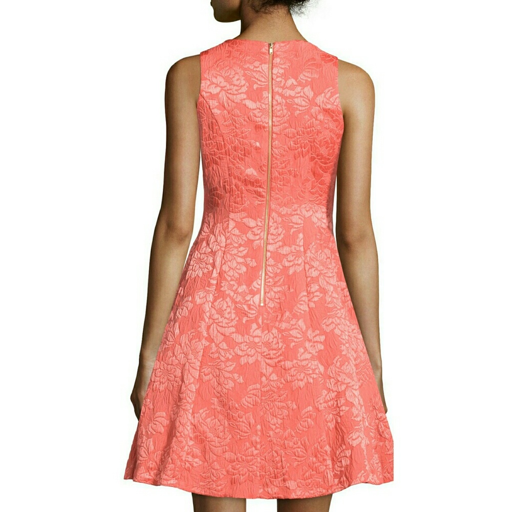 NWT MAGGY LONDON coral jaquard dress - Picture 3 of 6