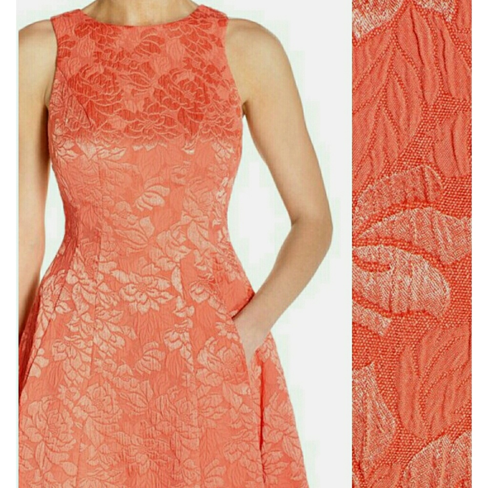 NWT MAGGY LONDON coral jaquard dress - Picture 4 of 6