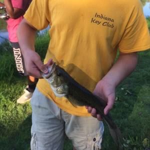 Meet your Posher, Tanner