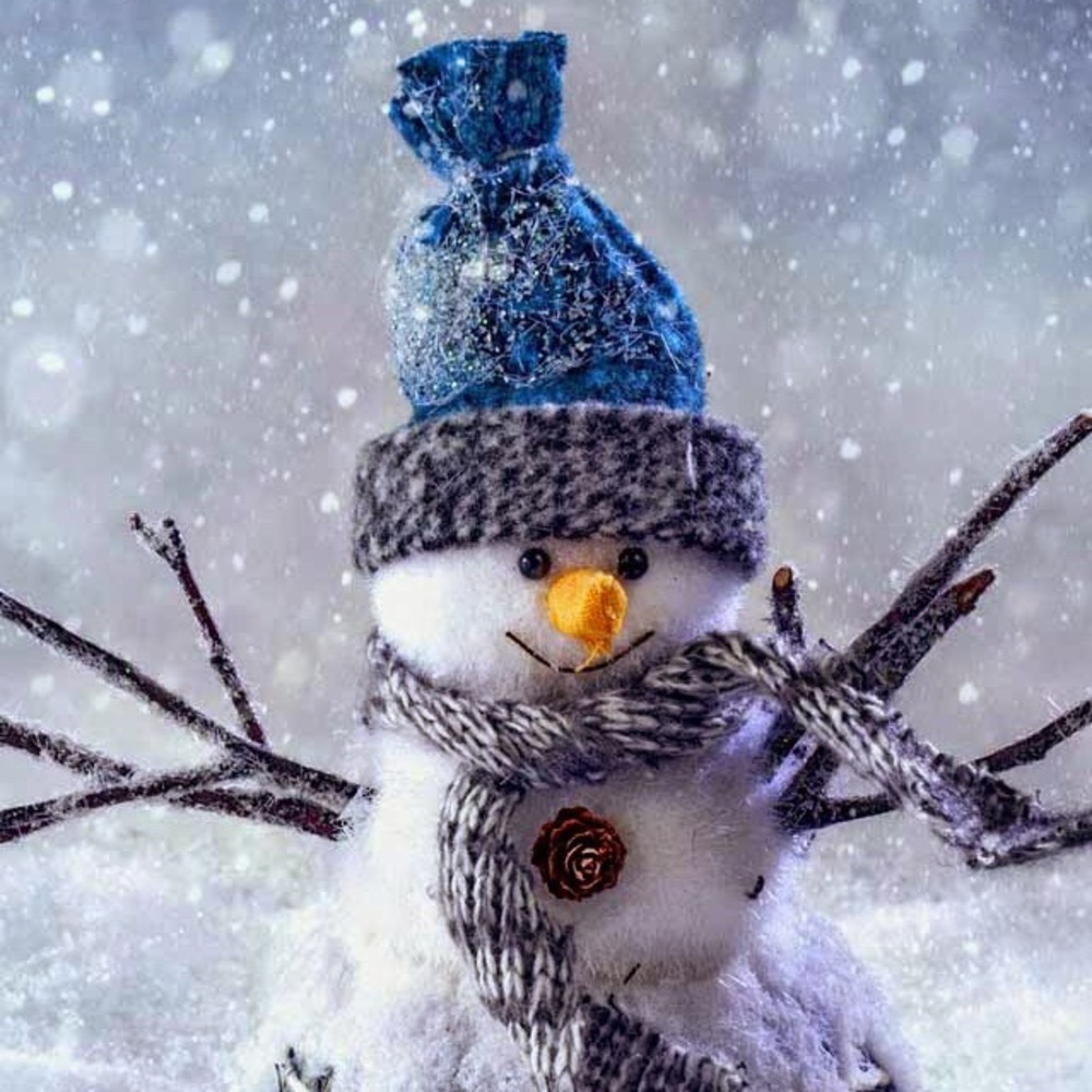 Meet your Posher, Sabrina