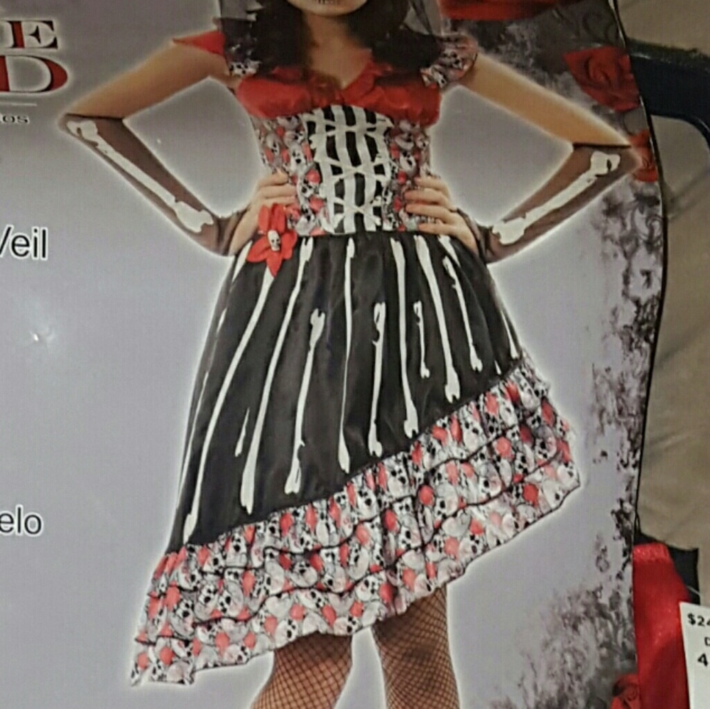 Day of the dead costume