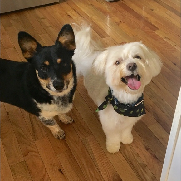 Hey, Hey, Hey!!!!💕💕💕 - Picture 5 of 6