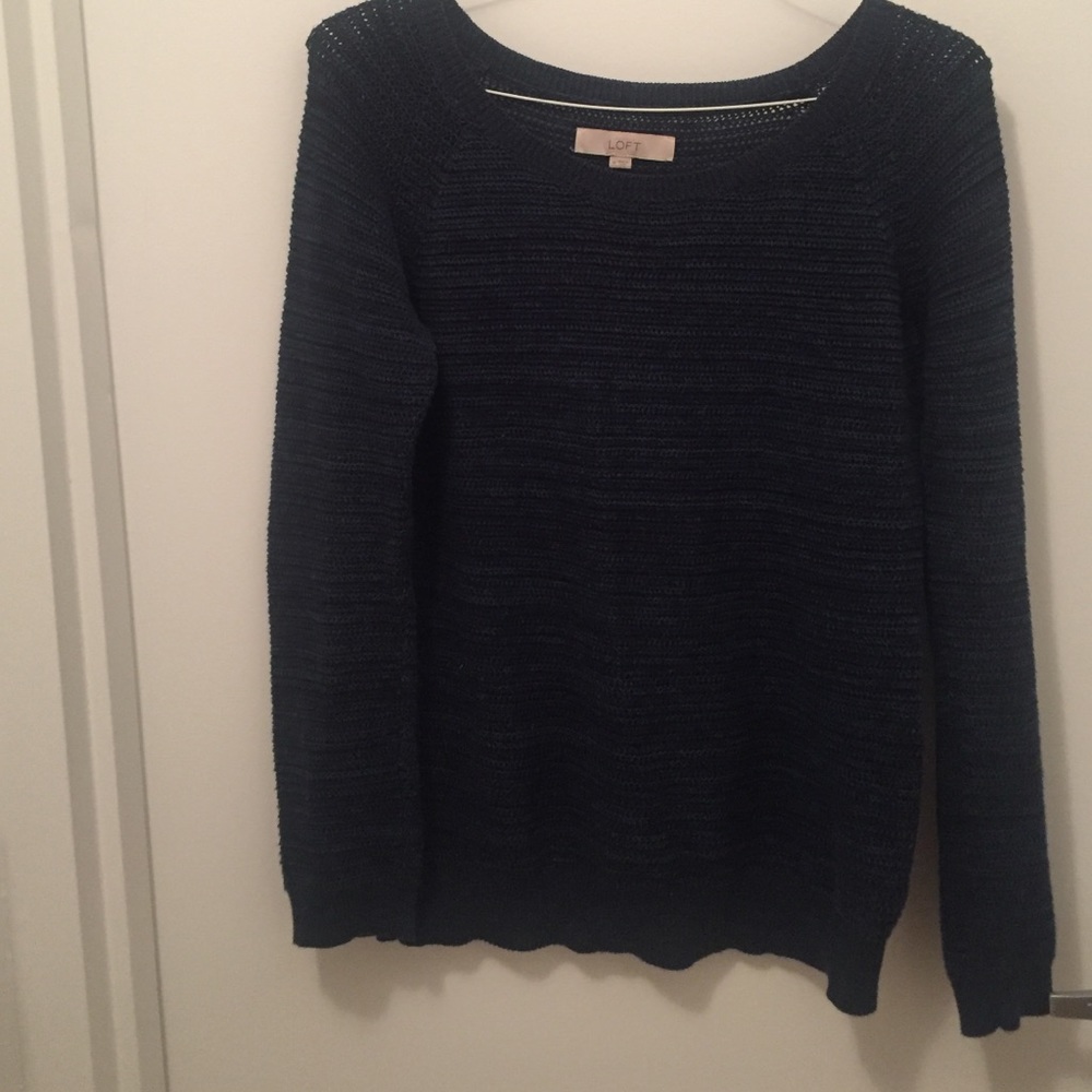 Blue Ann Taylor loft sweater