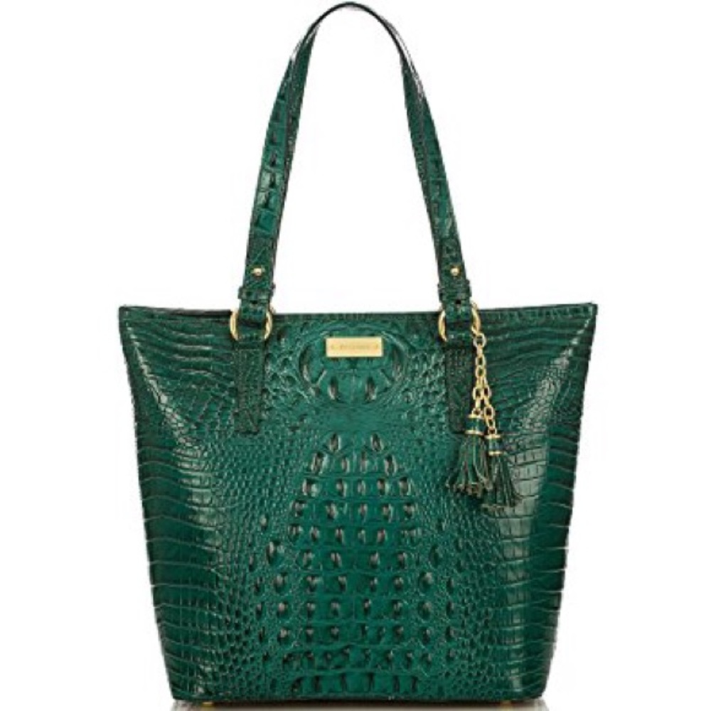 Gorgeous Brahmin Asher in Bayleaf Green NWT