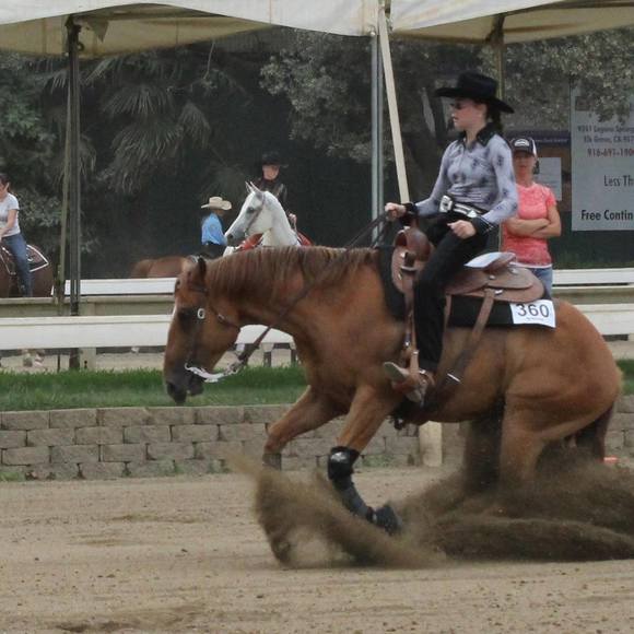 Meet your Posher, Serena - Picture 1 of 1