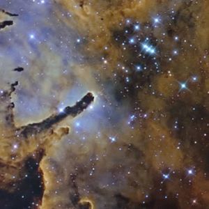 Meet your Posher, Adriana