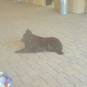 Meet your Posher, Vicki