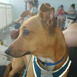 Meet your Posher, Stacy