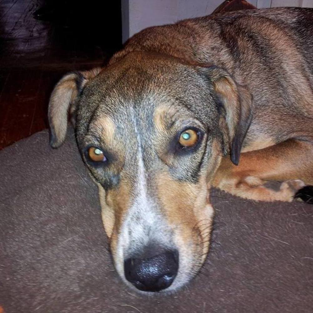 Meet your Posher, Maeda