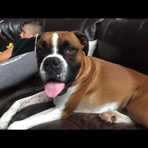 Meet your Posher, Carrie