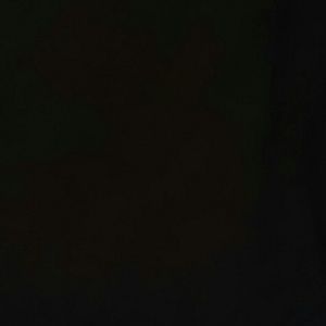 Meet your Posher, Misty