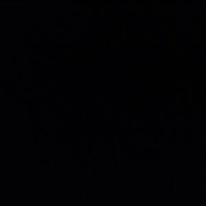 Meet your Posher, George