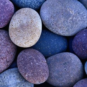 Meet your Posher, Savannah