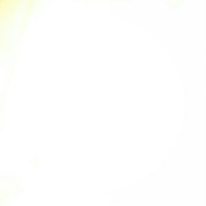 Meet your Posher, Chase