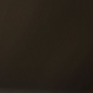 Meet your Posher, Leo