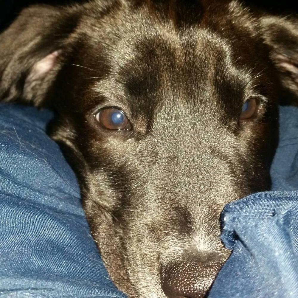 Meet your Posher, Angela