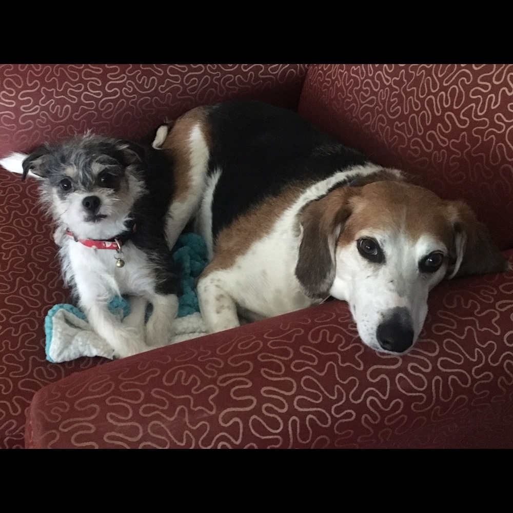 Meet your Posher, Laura