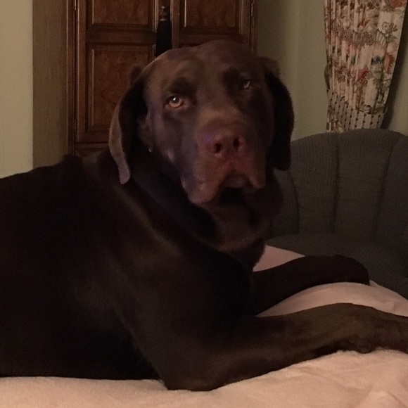 Meet your Posher, Joanne - Picture 2 of 3