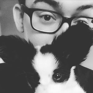 Meet your Posher, Alexander