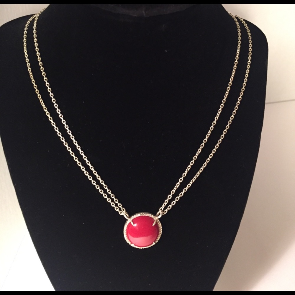 AMELIA ROSE Paris Collection❤️