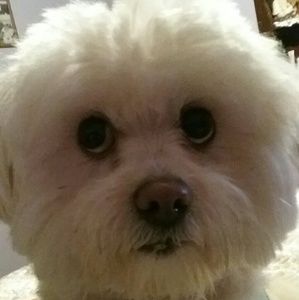 Meet your Posher, Alejandra