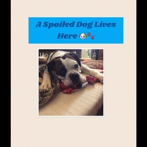 All items are Pet Hair Free 🐶🐾