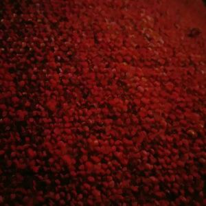 Meet your Posher, Mabel