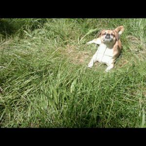 Meet your Posher, Jaime