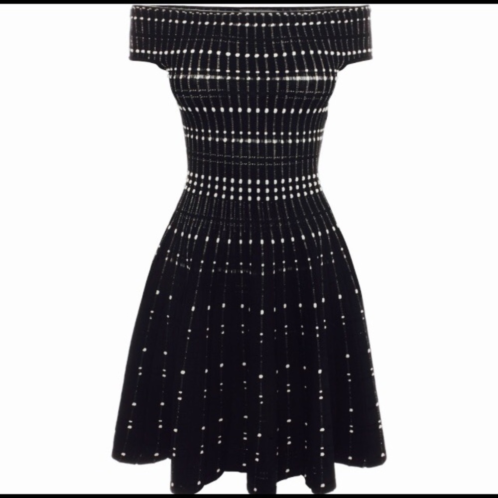 Alexander mcqueen sleeveless mini NWT. Small